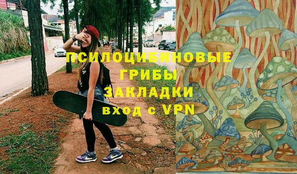 СК Медвежьегорск
