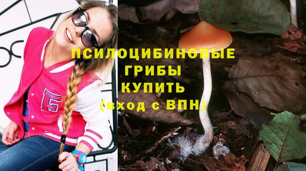 герыч Медногорск
