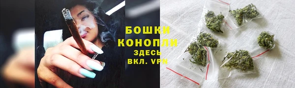 СК Медвежьегорск
