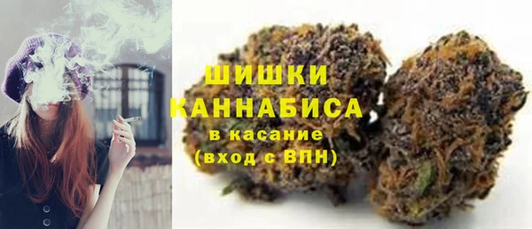 СК Медвежьегорск