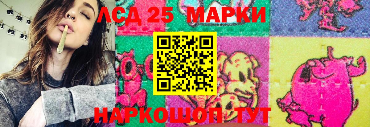 Наркотические марки 1,8мг  Наркотические марки 1,8мг  Вход с VPN  Новочебоксарск 