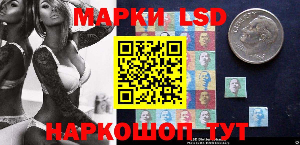 Псилоцибиновые грибы Новочебоксарск