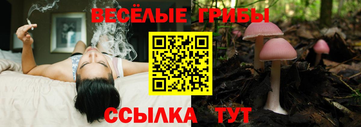 Псилоцибиновые грибы мицелий  Вход с VPN  Галлюциногенные грибы Magic Shrooms  Новочебоксарск 
